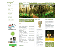 Tablet Screenshot of bingltd.com